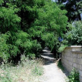 Image 20
