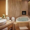 The Meydan Hotel