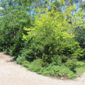 Image 34