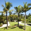 St Regis