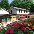Image 11