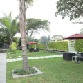 Image 13