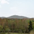 Image 14