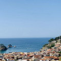 Image 12