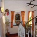 Image 14