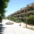 Image 13