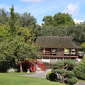 Image 24