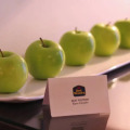 Best Western Elyon Colombo