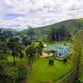 The Oliphant Boutique Villa