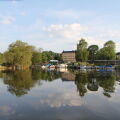 Image 16