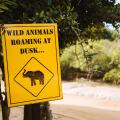 Jetwing Safari Camp - All Inclusive