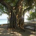 Embudu Village Resort
