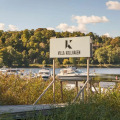 Image 18