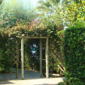 Image 23