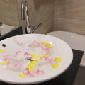 Apus Hotel Nha Trang