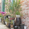 Image 30