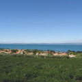 Image 15