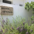Image 13