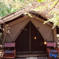 Mahoora Tented Safari Camp - Wilpattu