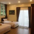 Arundina Cameron Highlands