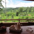Tea Hills Bungalow