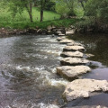 Image 14