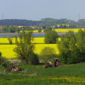 Image 46