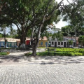 Image 19