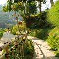 Padma Ubud
