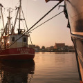 Image 21