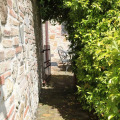 Image 24