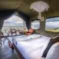 Madulkelle Tea And Eco Lodge