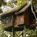 Permai Rainforest Resort