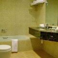 Aryana Hotel