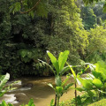 Mandapa, A Ritz-Carlton Reserve