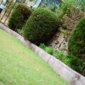 Spring Acre