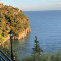 Image 15