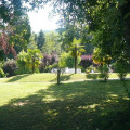 Image 14