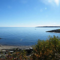 Image 13