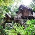 Permai Rainforest Resort