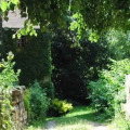 Image 25