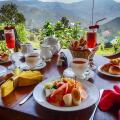Madulkelle Tea And Eco Lodge
