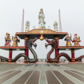Image 12