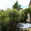 Image 15