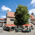 Image 15