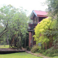 Image 36