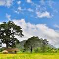 Kalundewa Retreat