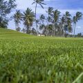 Shangri La Hambantota