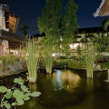 Image 22