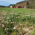 Image 13